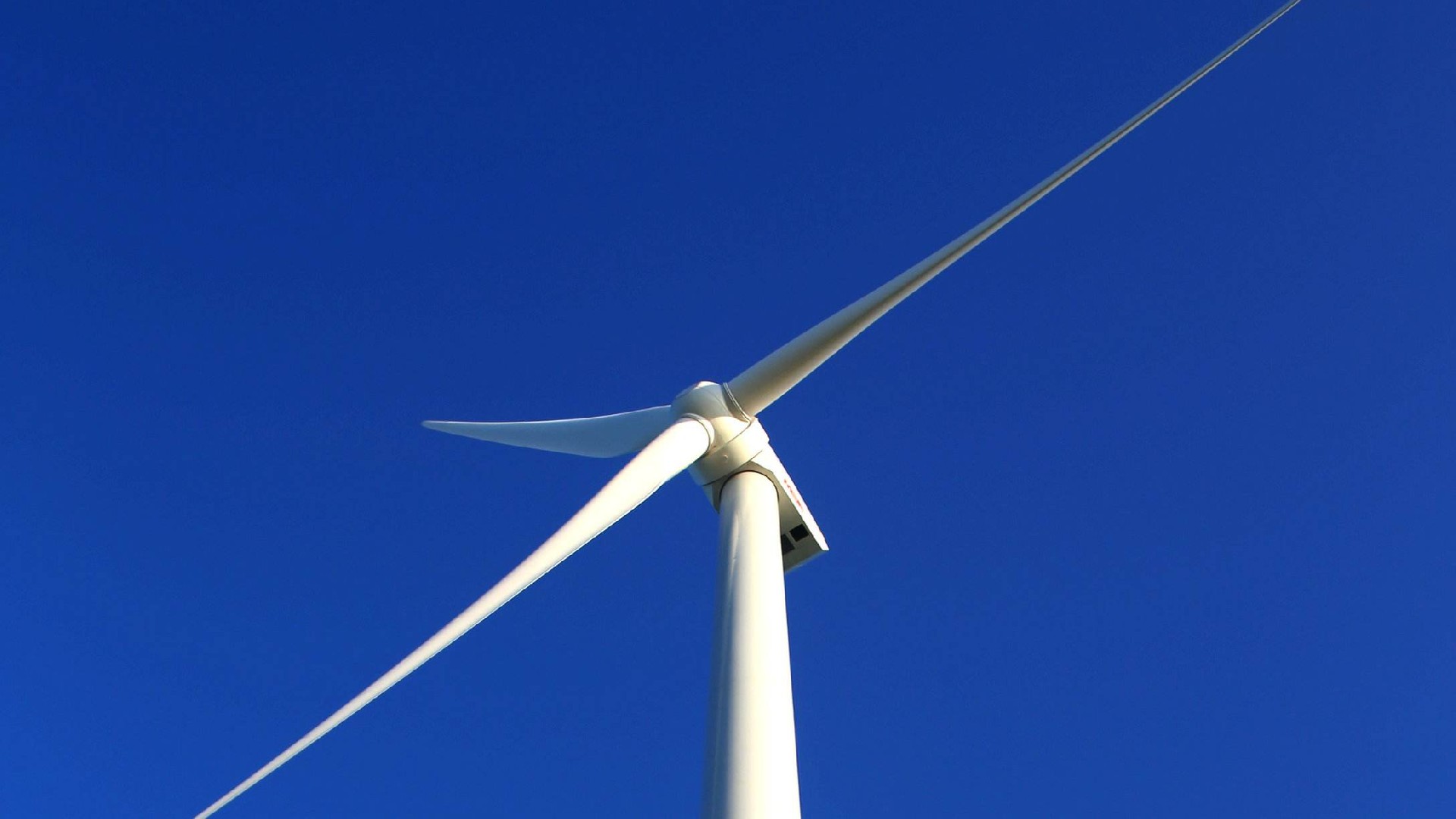 1686745998837958.jpg R-C (55).jpg