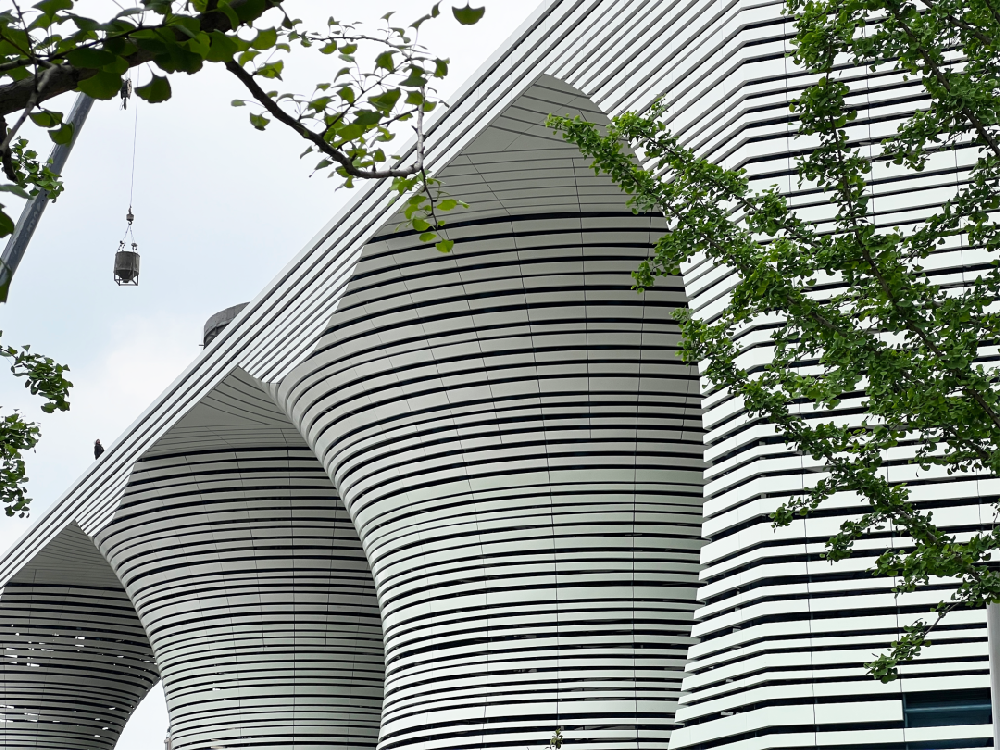 未来停车场，形如“树冠”，这对加拿大的发展.